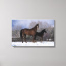 Buscar potro lienzos Caballo