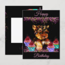 Buscar yorkie poo Cumpleaños