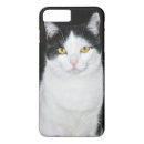Buscar gato blanco iphone fundas Cumpleaños