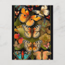 Buscar haeckel postales Naturaleza