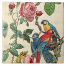 Buscar macaws azulejos Para todos
