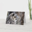 Buscar onza tarjetas Gatos