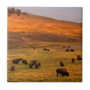 Buscar colinas azulejos Al aire libre