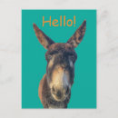 Buscar burro divertido postales 1 ᵉʳ explotación