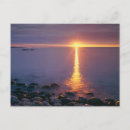Buscar sol de maine Costa