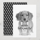 Buscar perro negro invitaciones Para mascotas