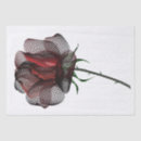 Buscar rosa y negro papel de seda Rojo