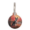 Buscar terrieres mascotas General y unisex