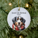 Buscar montaña adornos Agudo