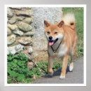 Buscar shiba inu arte Japonés