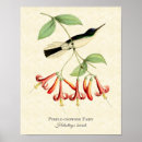 Buscar hada verde posters Vintage