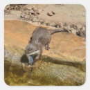 Buscar otter pegatinas Animal