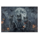 Buscar gatos tablas cortar 9 º gata