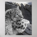 Buscar leopardo azul posters Felino