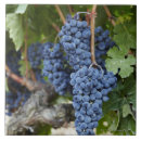 Buscar vino rojo azulejos Fotografía