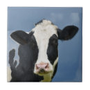 Buscar holstein posavasos Para todos