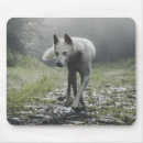 Buscar husky siberiano alfombrillas de raton Cáustico