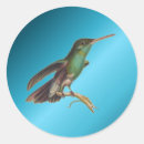 Buscar colibri pegatinas General y unisex