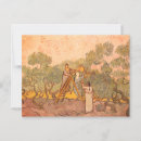 Buscar aceitunas postales Vintage