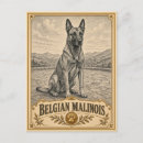 Buscar malinois belgas postales Para todos
