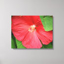 Buscar magenta lienzos Naturaleza