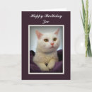 Buscar zoe postales Zoológico