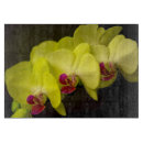 Buscar orquídeas tablas cortar Naturaleza