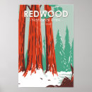 Buscar árbol de navidad posters Para todos