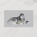 Buscar siberian husky tarjetas de visita Fornido