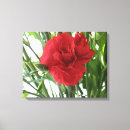 Buscar carnaval lienzos Fotografía