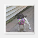 Buscar perro juguete imanes Lindo