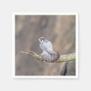 Buscar halcones servilletas Animal