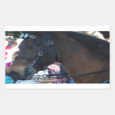 Buscar caballo árabe pegatinas Arábigo