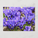 Buscar katherine postales Floral