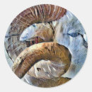 Buscar ovejas pegatinas General y unisex