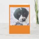Buscar inglés tarjetas General y unisex