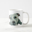 Buscar mi pitbull clasicas tazas Perros