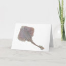 Buscar skate tarjetas Chica