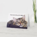 Buscar enfadado postales Gato