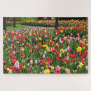 Buscar tulipanes puzzles Jardín