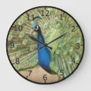 Buscar pavos reales relojes de pared Pájaros