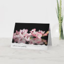 Buscar gladiolos tarjetas Para todos