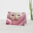 Buscar mascota enfermo tarjetas Gato