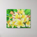 Buscar plumeria arte Floral