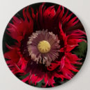 Buscar amapola roja chapas Día de los veteranos