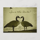 Buscar pájaros de vuelo invitaciones General y unisex