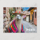 Buscar llama postales General y unisex