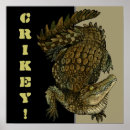 Buscar cocodrilo posters General y unisex