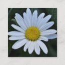 Buscar margaritas tarjetas de visita Flor