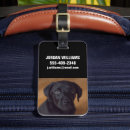 Buscar animal etiquetas para maletas Cachorro